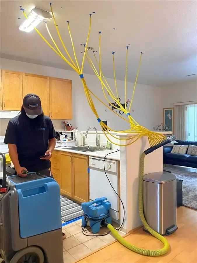 Technician beside blue drying equipment with yellow hoses entering a kitchen ceiling